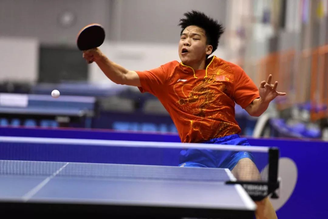 正是他们寻 正是他们寻