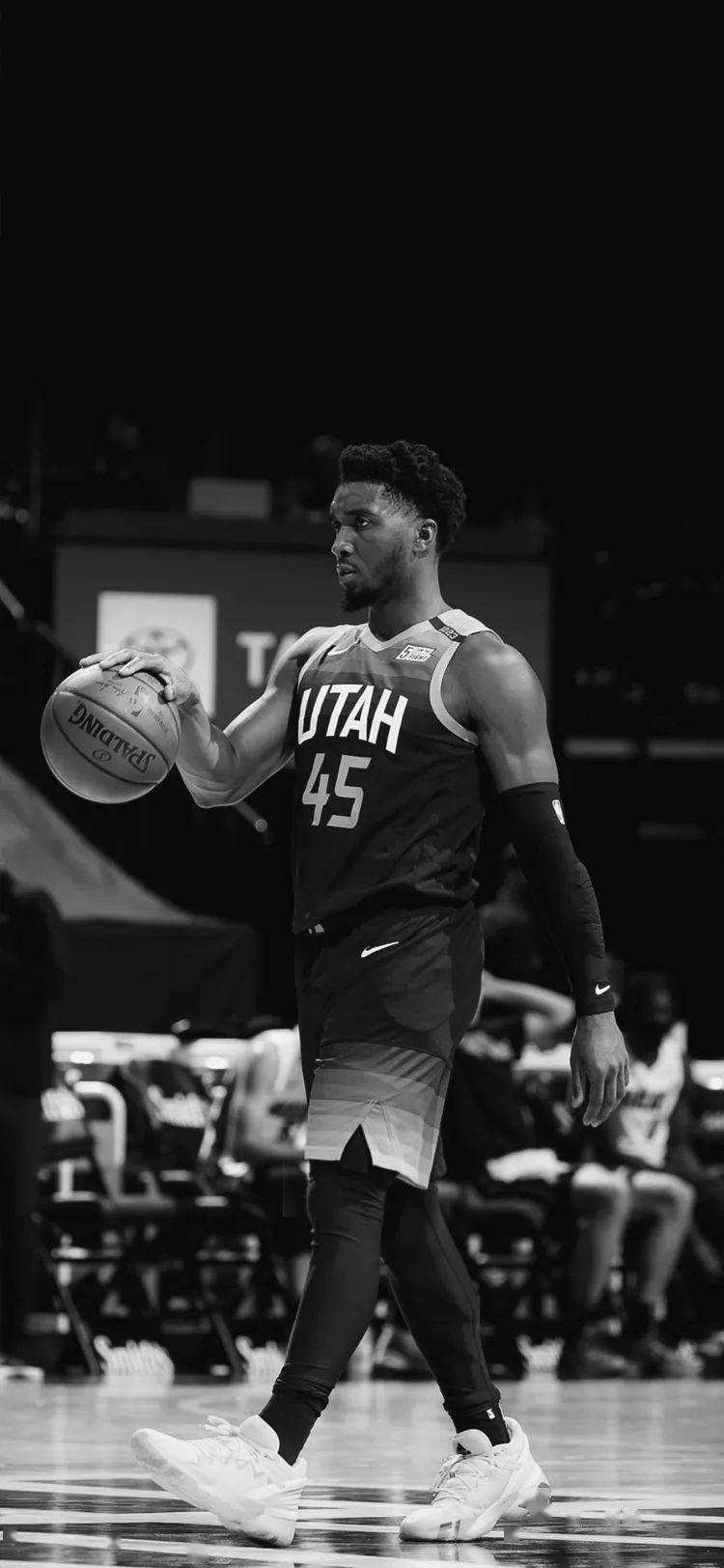 他们给出了 他们给出了