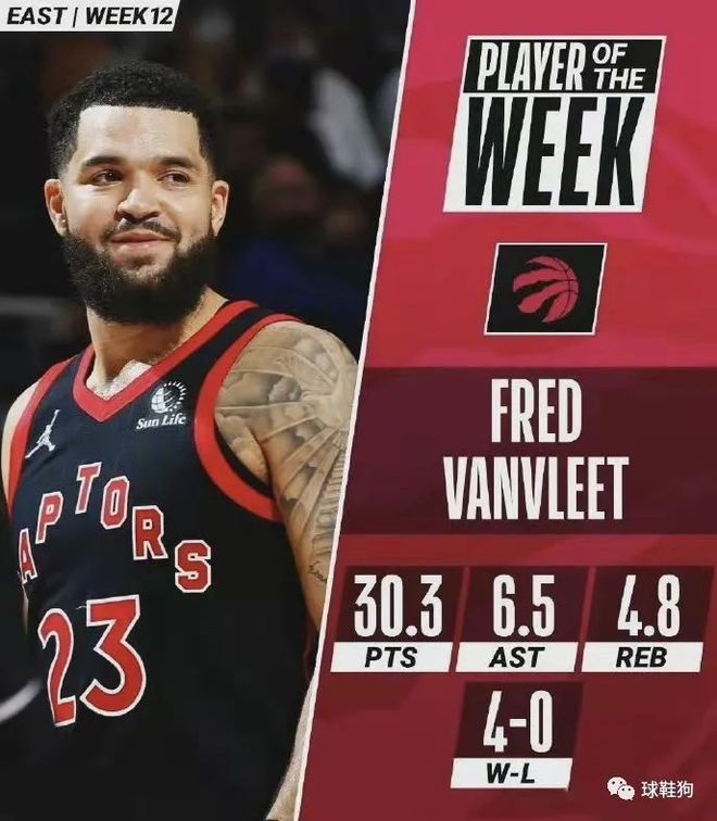 板球爱好者 板球爱好者