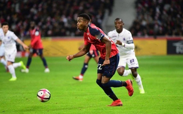 更需要关注 更需要关注