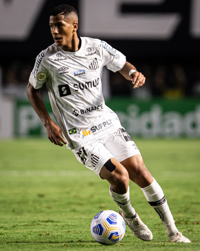 名实用型球 名实用型球